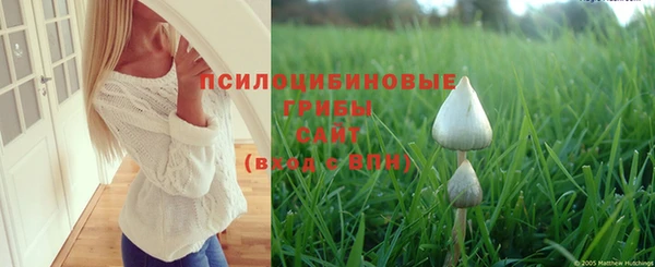 скорость Ельня