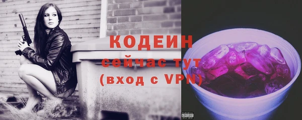 скорость Ельня