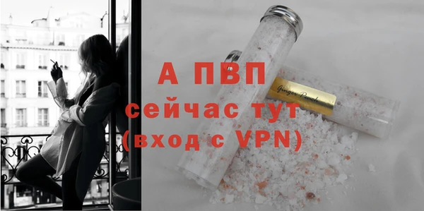 скорость Ельня