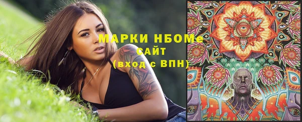 гидропоника Елабуга