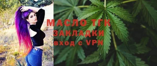 скорость Ельня
