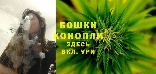 гидропоника Елабуга