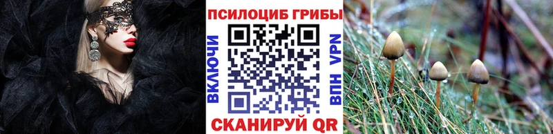 Купить закладки  Лесной  Псилоцибиновые грибы Psilocybe 