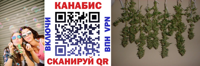 Купить  Лесной  Канабис OG Kush 
